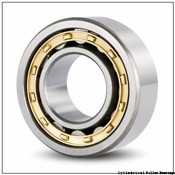 300 mm x 460 mm x 74 mm NKE NU1060-M6+HJ1060 cylindrical roller bearings
