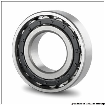 120 mm x 180 mm x 46 mm NTN NN3024KC1NAP4 cylindrical roller bearings