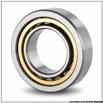 133 mm x 280 mm x 215 mm KOYO JC92 cylindrical roller bearings