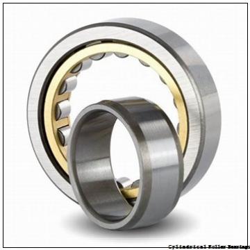 190 mm x 290 mm x 180 mm  ISO NNU6038 cylindrical roller bearings
