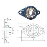 FYH UCFL205-16 bearing units