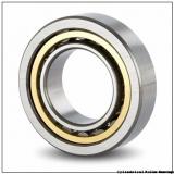 133,35 mm x 234,975 mm x 63,5 mm  NSK 95525/95928 cylindrical roller bearings