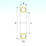 50 mm x 90 mm x 23 mm ISB NUP 2210 cylindrical roller bearings